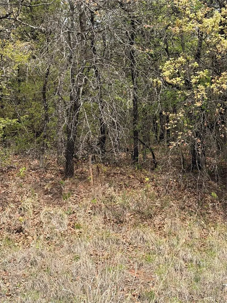 17980 S Cliff Road, Newalla, OK 74857 - #2