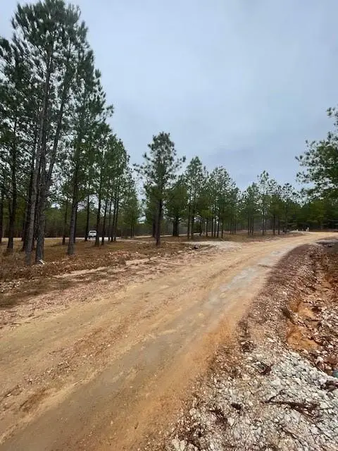 609 Top Notch Road, Broken Bow, OK 74728 - #3