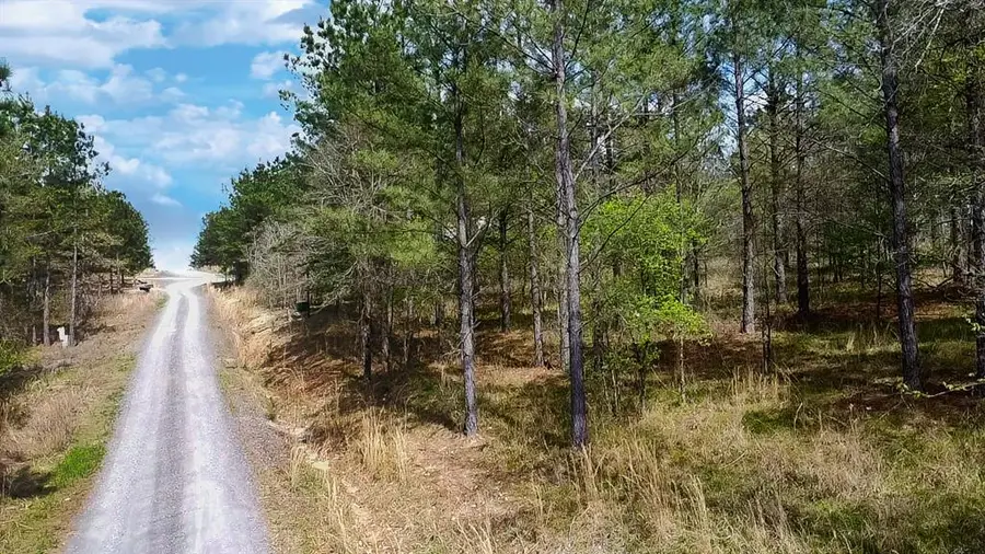 86 Aged Oak Court, Broken Bow, OK 74728 - #2