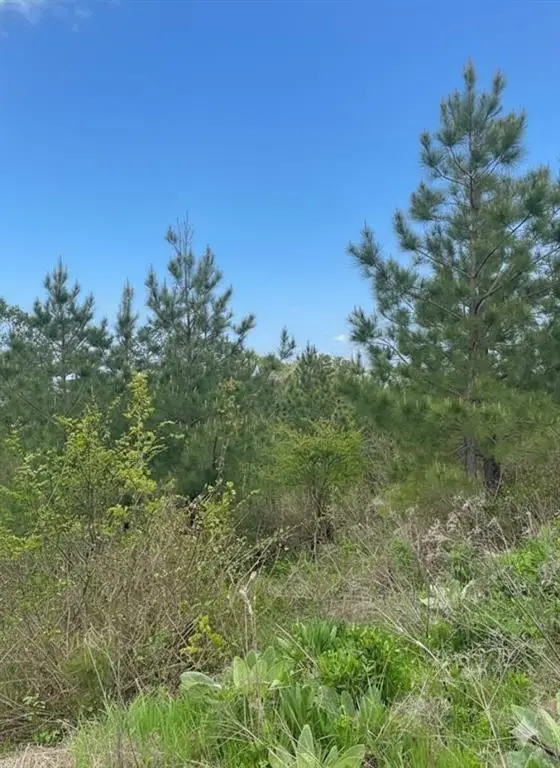 187 Sliding Hill Trail, Broken Bow, OK 74728 - #2