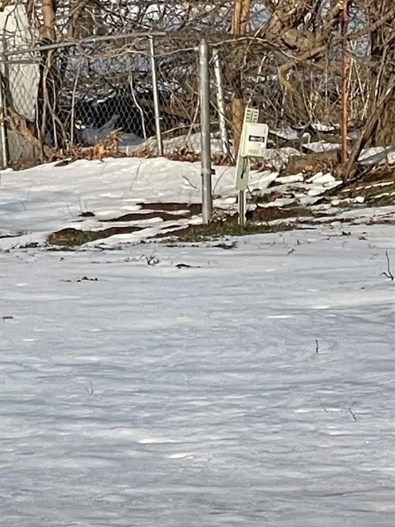 501 Bulldog Street, Lexington, OK 73051 - #2