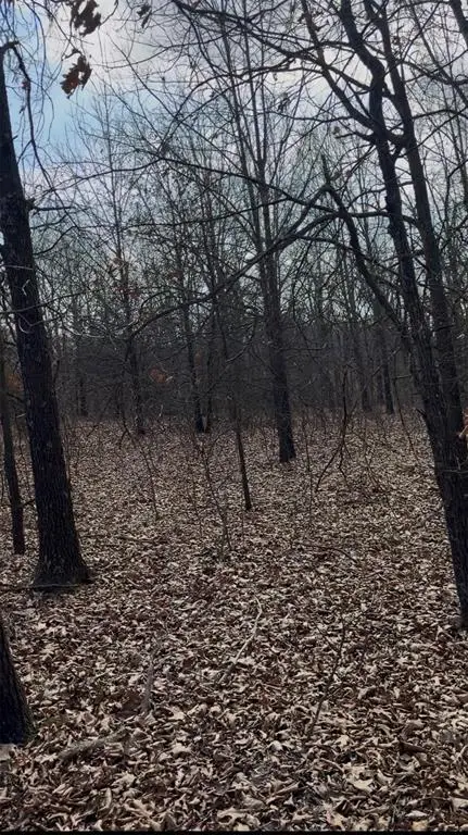 Address Withheld By Seller, Tecumseh, OK 74873 - #1