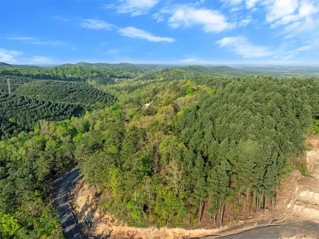 664 N Evergreen Vista Loop, Broken Bow, OK 74728 - #1