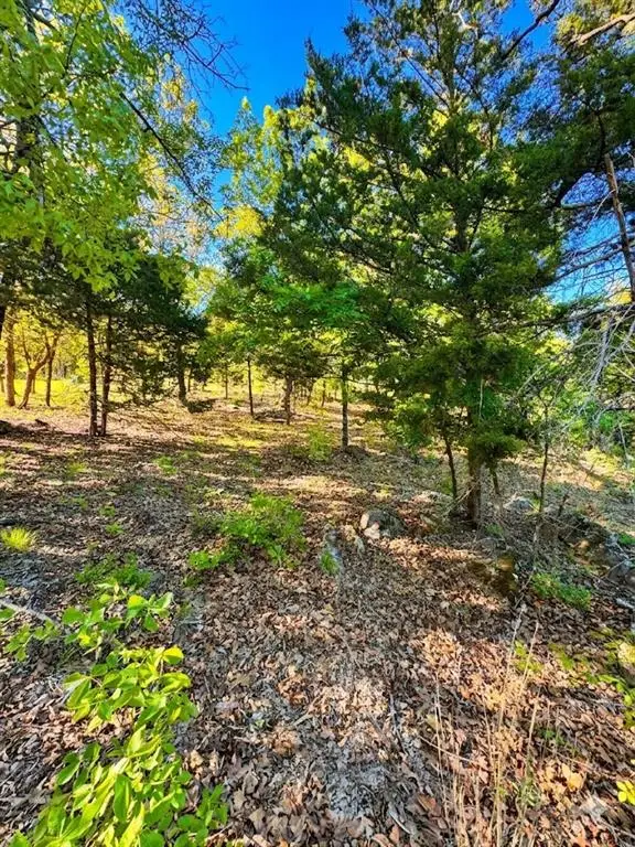 84 Patriot Pointe Lake, Eufaula, OK 74432 - #3