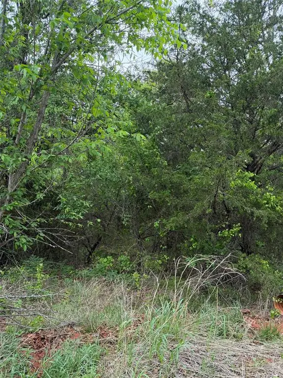 183rd Street, Lexington, OK 73051 - #1