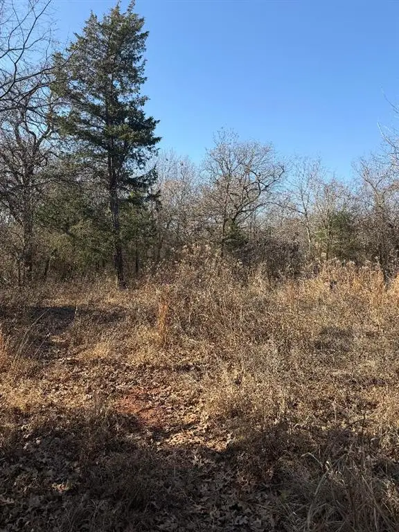 183rd Street, Lexington, OK 73051 - #3