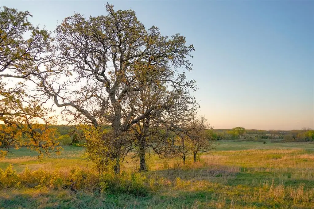 19543 NE 164th Street, Luther, OK 73054 - #1