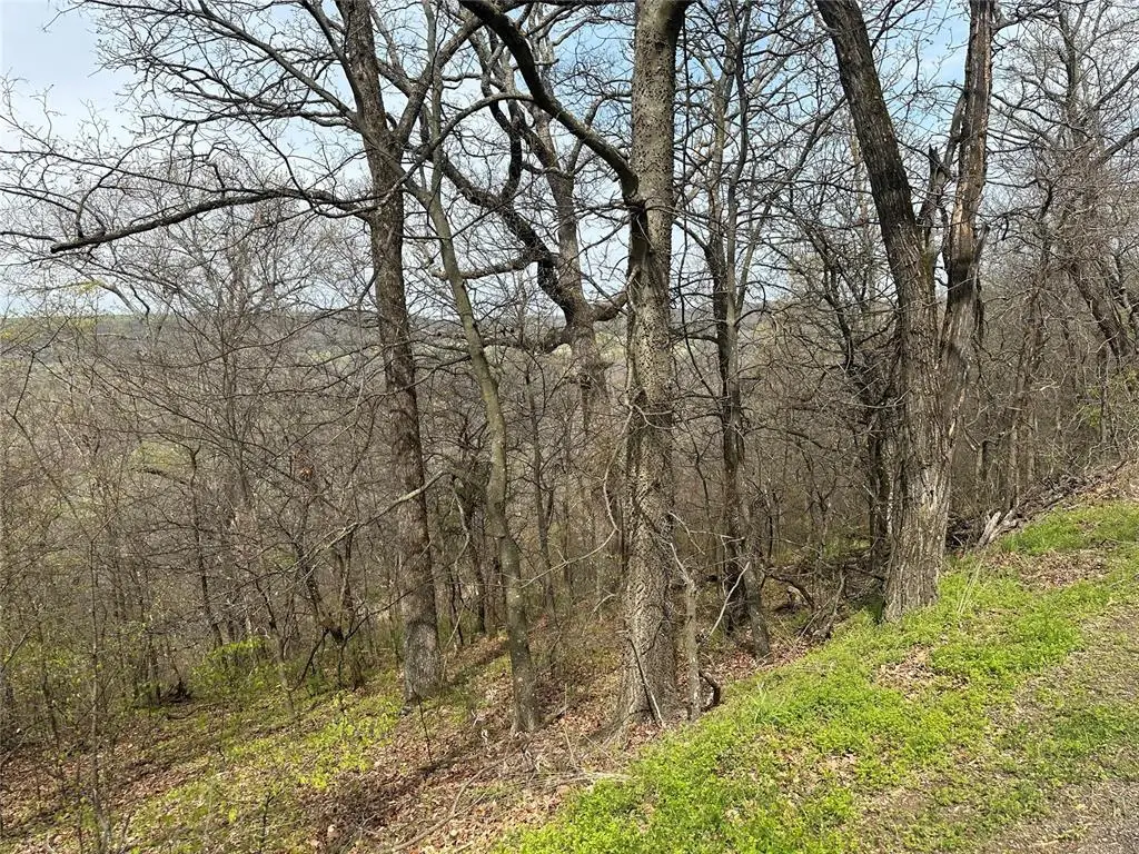 000 W Big Rock Road #Lot 7, Park Hill, OK 74451 - #1