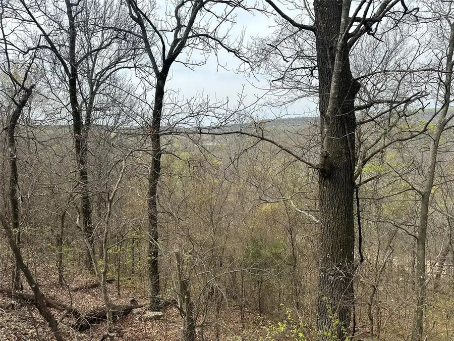 000 W Big Rock Road #Lot 7, Park Hill, OK 74451 - #2