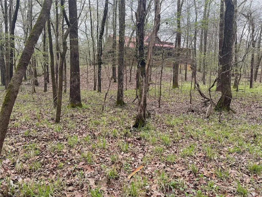 177 Albacore Road Road, Hochatown, OK 74728 - #3