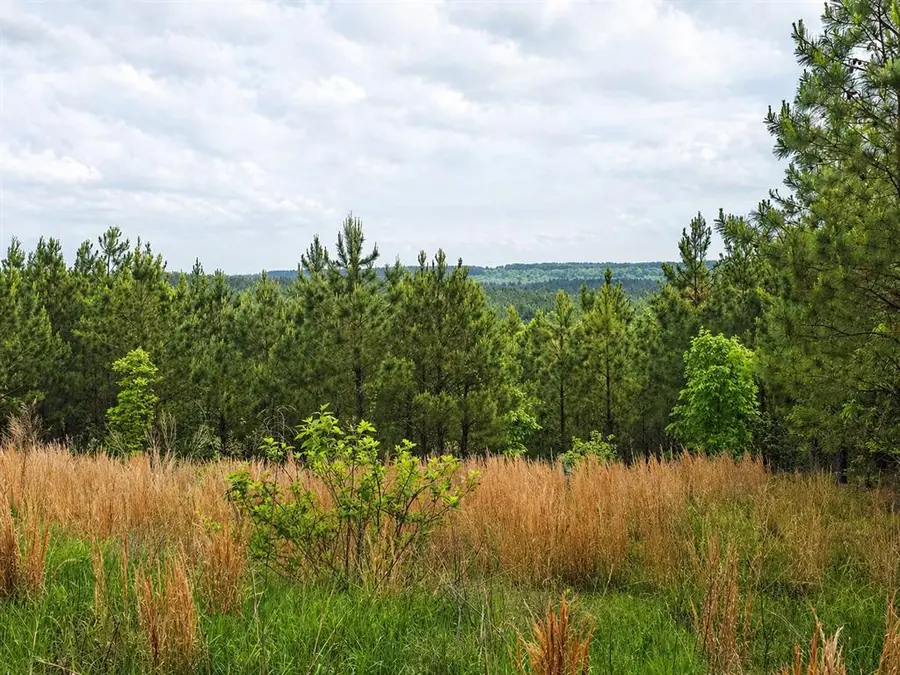 158 Legacy Ridge Trail, Broken Bow, OK 74728 - #3