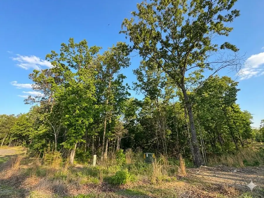 3 Vista Trail, Watson, OK 74957 - #3
