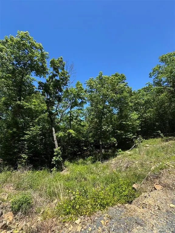 20 Vista Ridge Trail, Broken Bow, OK 74728 - #2