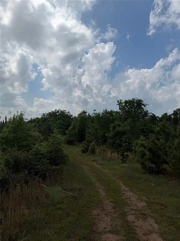 Bullard Lane, Wright City, OK 74766 - #1