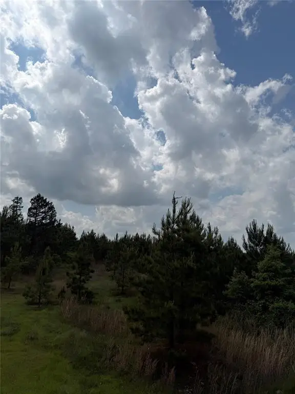 Bullard Lane, Wright City, OK 74766 - #3