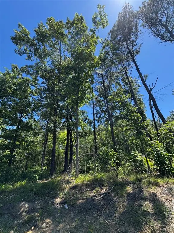 50 Vista Ridge Trail, Watson, OK 74957 - #1
