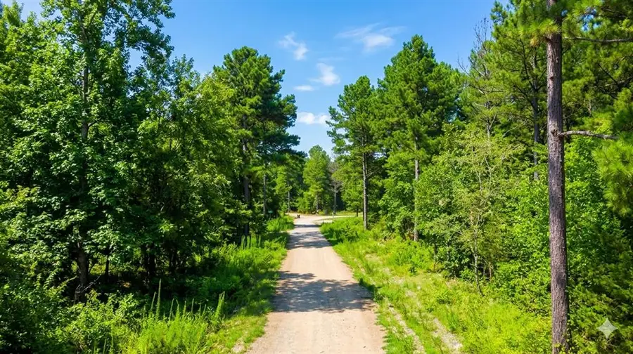 176 Xpress Lane, Hochatown, OK 74728 - #3