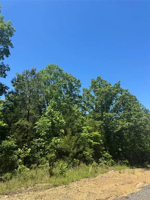 60 Vista Ridge Trail, Watson, OK 74957