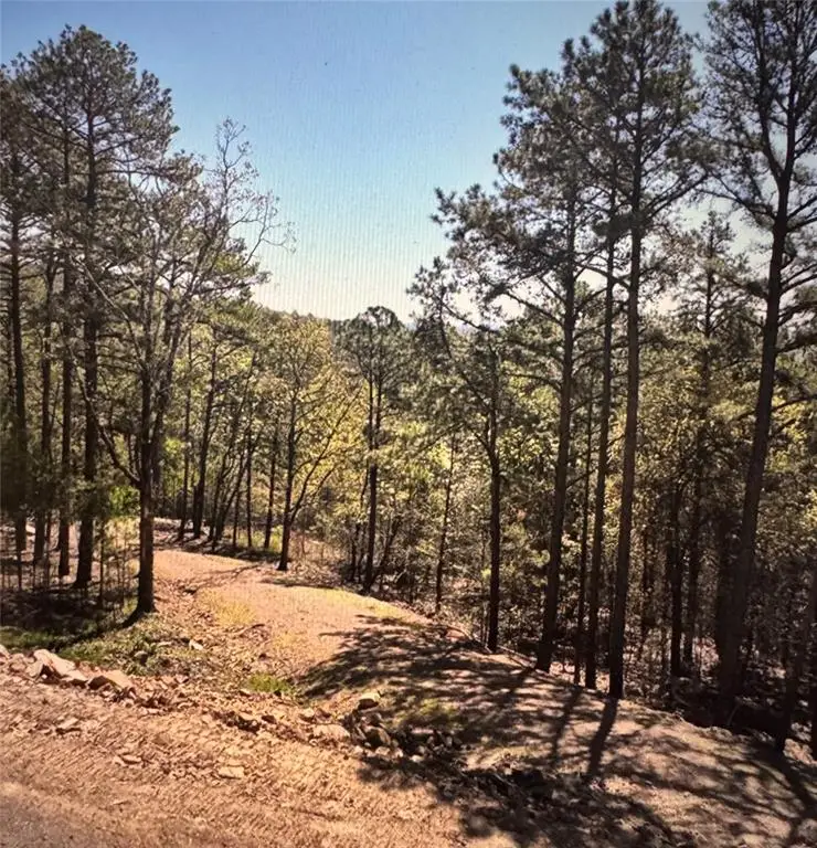 177499 Box Springs Mountain Road, Moyers, OK 74557 - #3