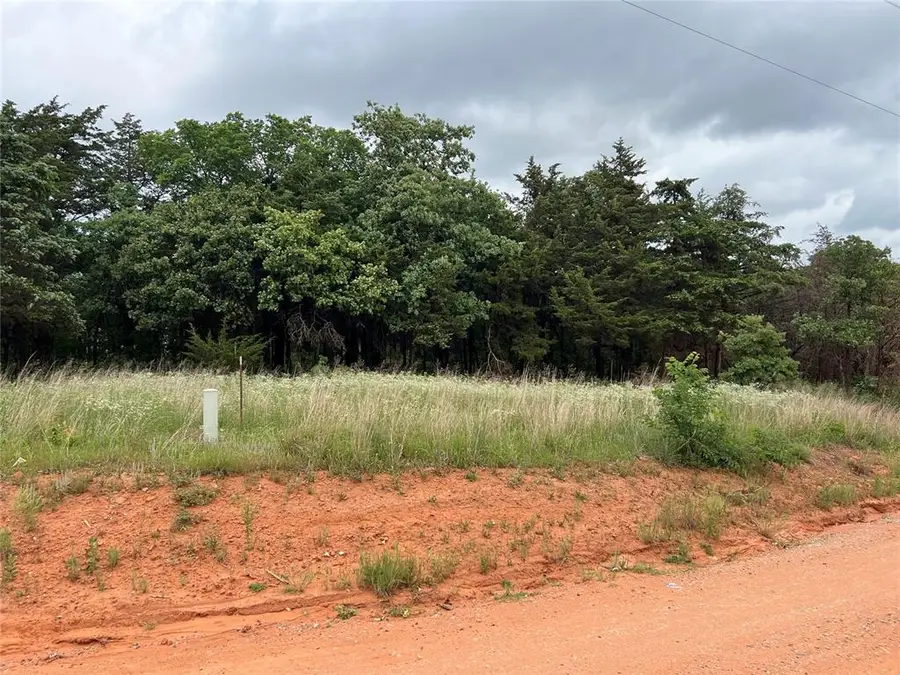 9740 Cedar View Lane, Guthrie, OK 73044 - #3