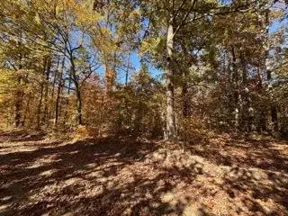 391 Freshwater Road, Broken Bow, OK 74728 - #2