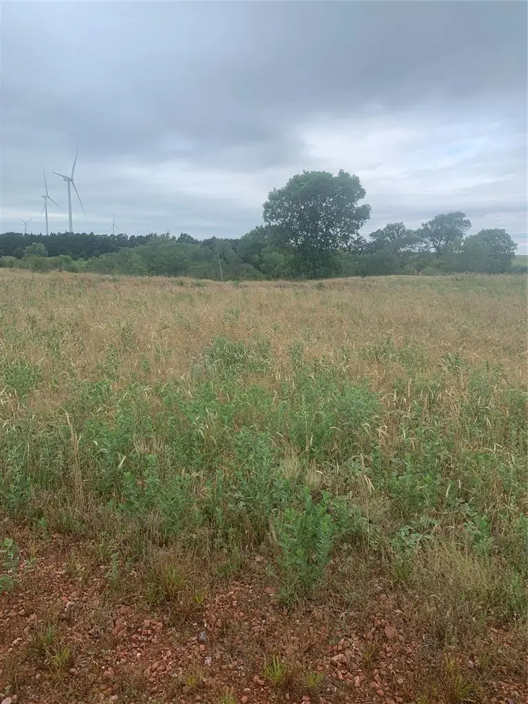 11111 S 59th & Walbaum Rd. Road, Hinton, OK 73047 - #2