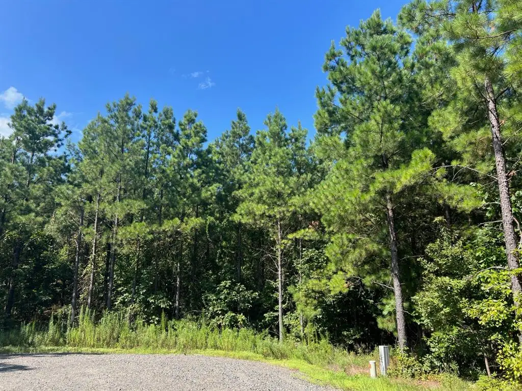 53 Weathered Timber Trail, Broken Bow, OK 74728 - #1