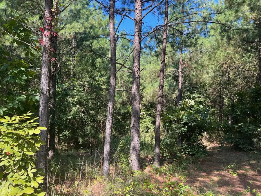 53 Weathered Timber Trail, Broken Bow, OK 74728 - #2