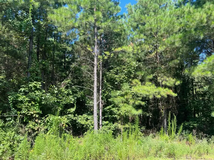53 Weathered Timber Trail, Broken Bow, OK 74728 - #3