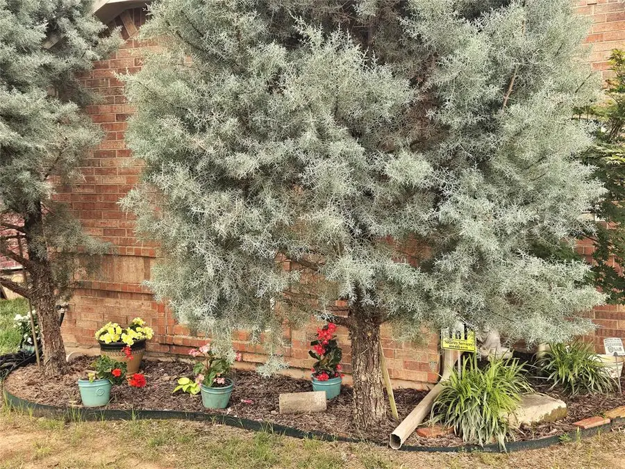 10822 Turtle Back Drive, Midwest City, OK 73130 - #3