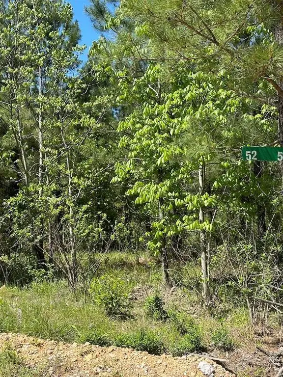 135 Crooked Stick Trail, Broken Bow, OK 74728 - #3