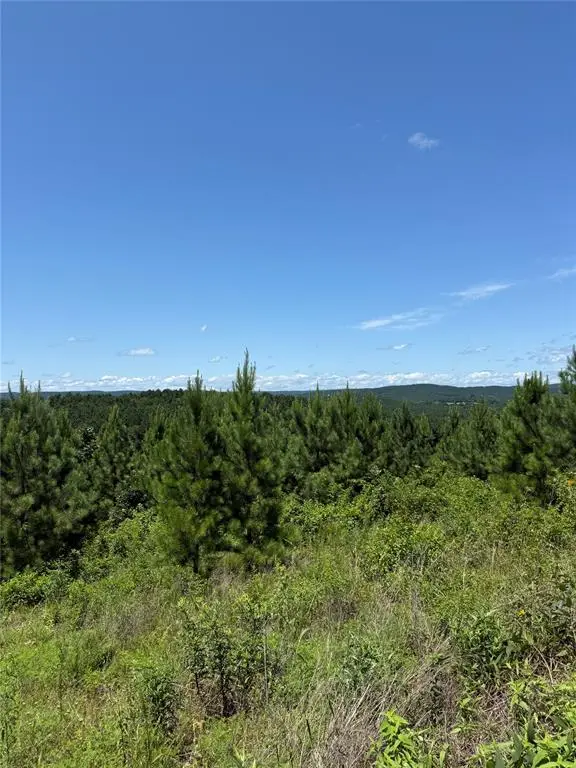94 Rose Hill Trail, Broken Bow, OK 74728 - #1