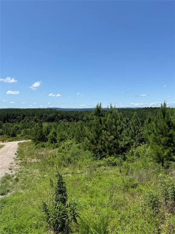 94 Rose Hill Trail, Broken Bow, OK 74728 - #2