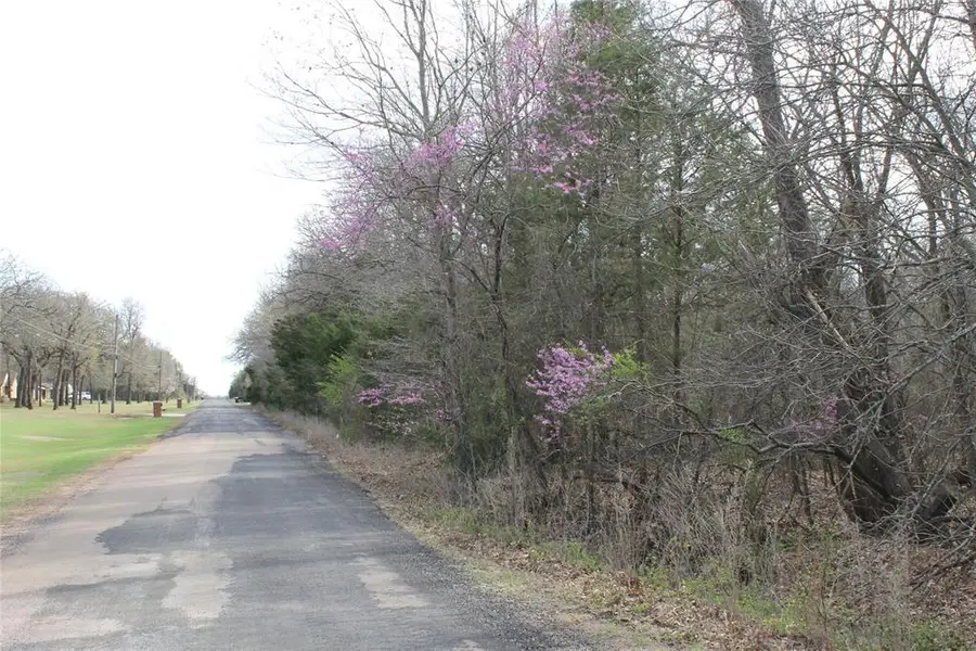 Whispering Oaks Road, Tecumseh, OK 74873 - #2