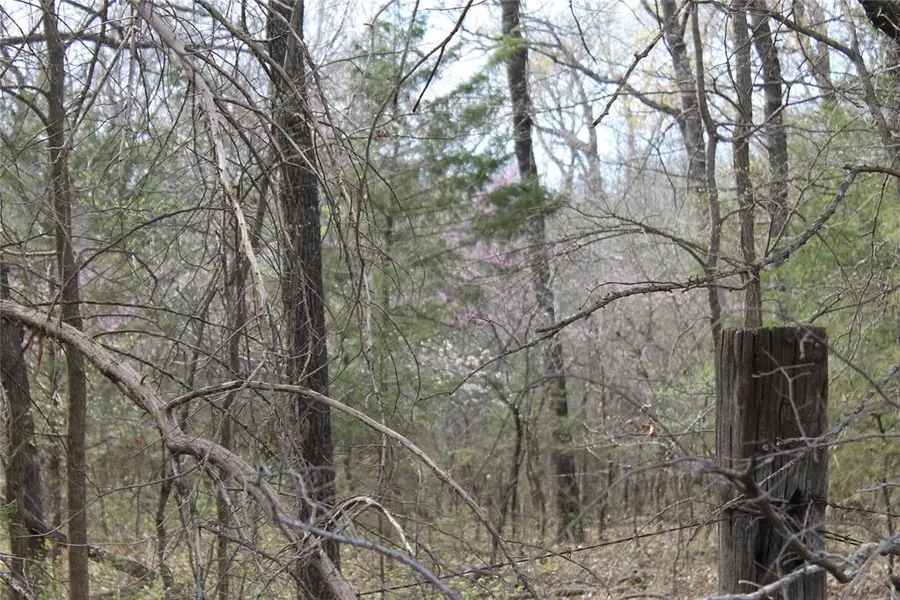 Whispering Oaks Road, Tecumseh, OK 74873 - #3