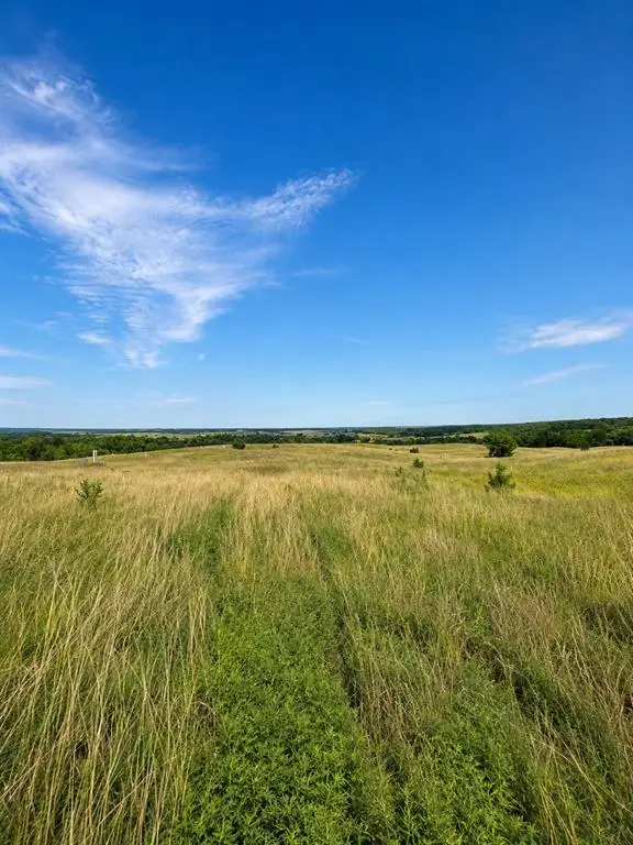 Address Withheld By Seller, Gracemont, OK 73042 - #2
