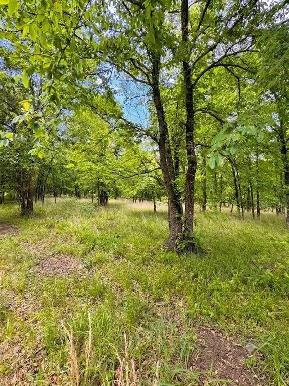 N Us-259 Highway, Broken Bow, OK 74728 - #3