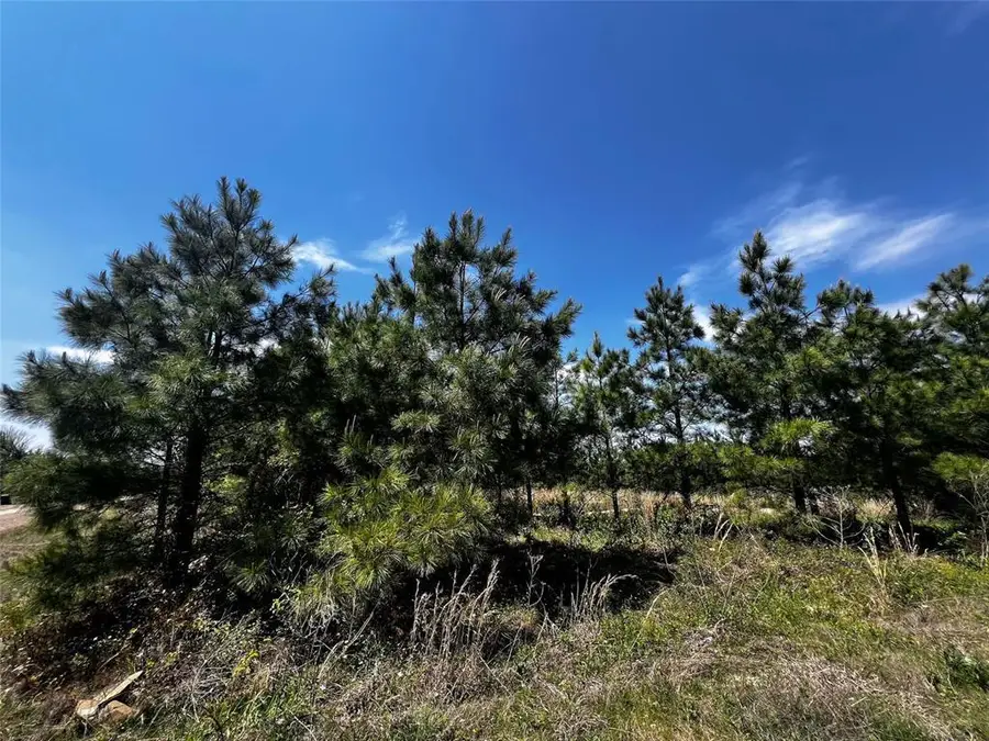 62 Br Johnson Road, Broken Bow, OK 74728 - #3
