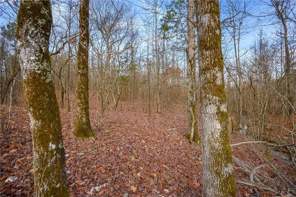 45 Woodland Hills, Broken Bow, OK 74728 - #1