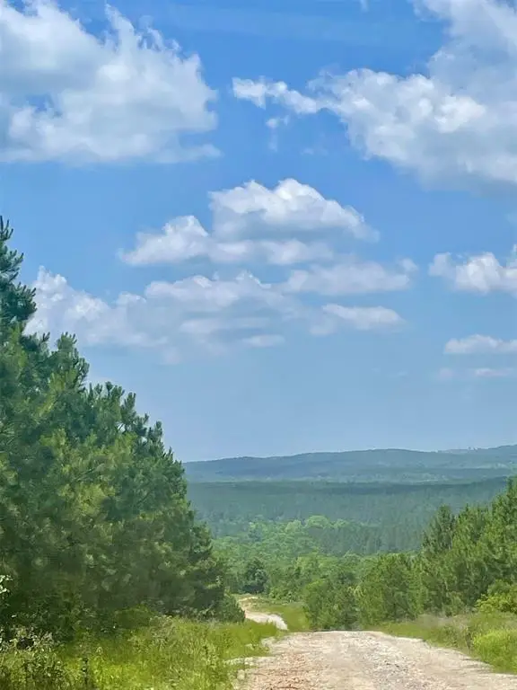 75 Sliding Hill Trail, Broken Bow, OK 74728 - #3