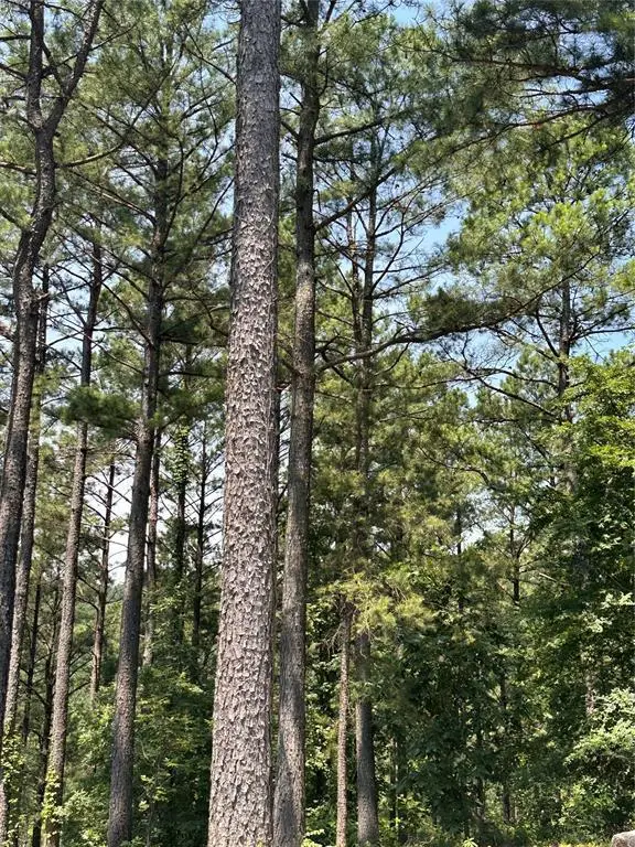 202 Crooked Cedar Trail, Broken Bow, OK 74728