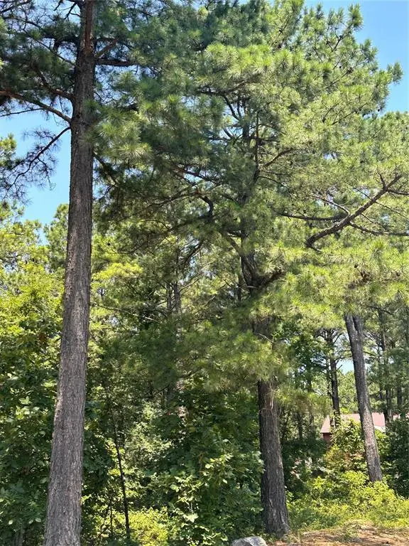 202 Crooked Cedar Trail, Broken Bow, OK 74728 - #2