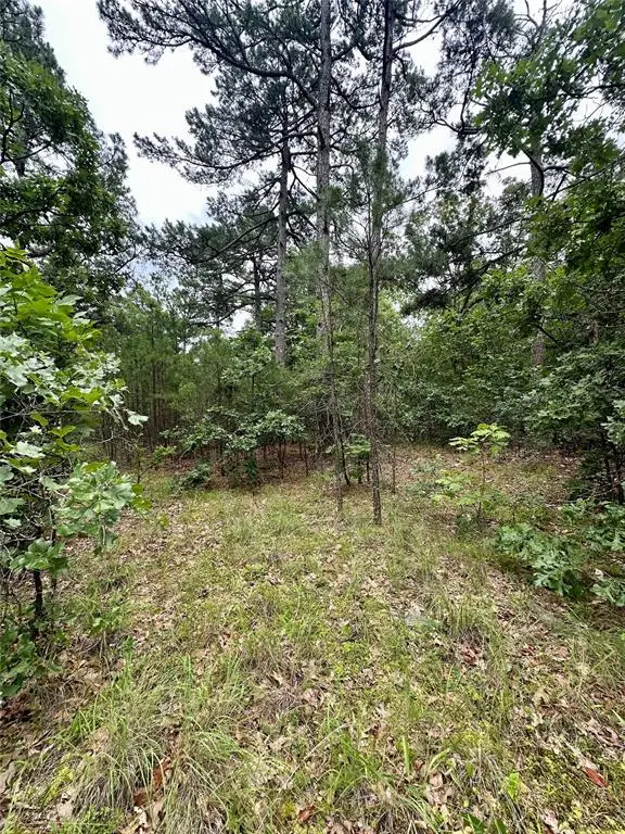Address Withheld By Seller, Wilburton, OK 74578 - #1