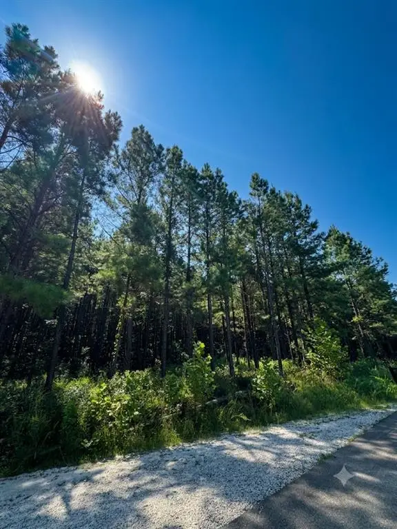 470 Creek Side Trail, Broken Bow, OK 74728 - #1