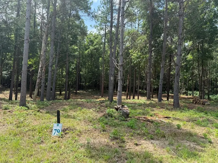 168 Cinnamon Teal Trail #Lot 79, Broken Bow, OK 74728 - #3