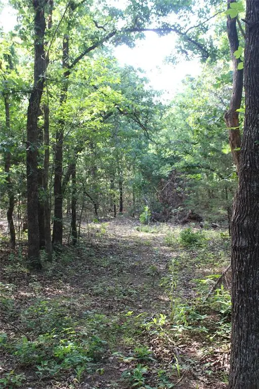 S Bedrock Cir Street, Wellston, OK 74881 - #3
