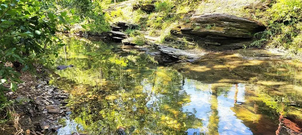 74 Creek Side Trail, Broken Bow, OK 74728 - #1