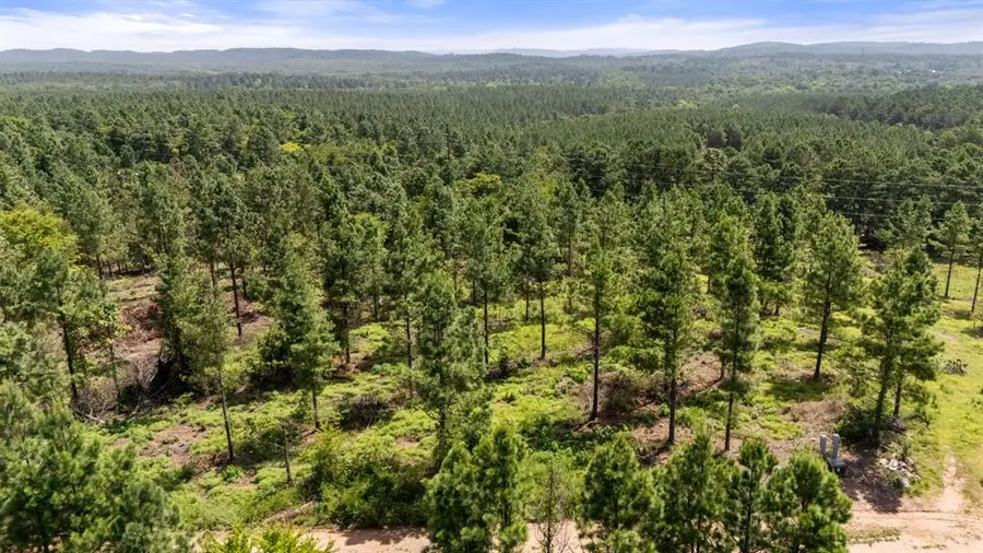 Paradise Valley Road, Broken Bow, OK 74728 - #2
