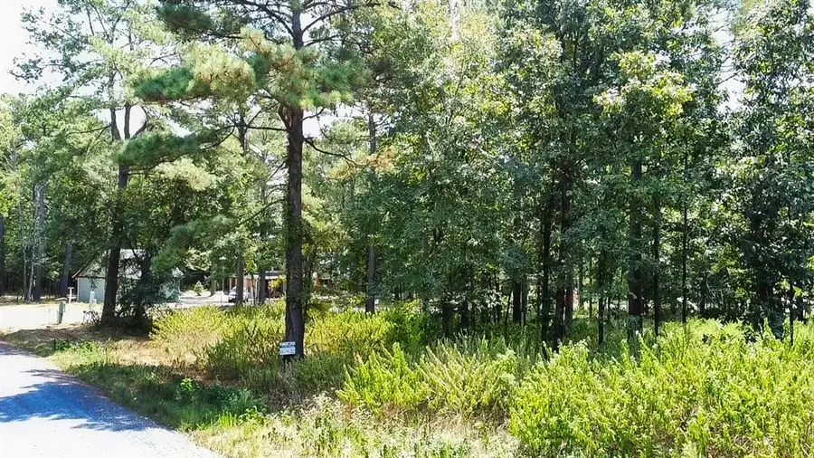 252 Split Paddle Lane, Broken Bow, OK 74728 - #3
