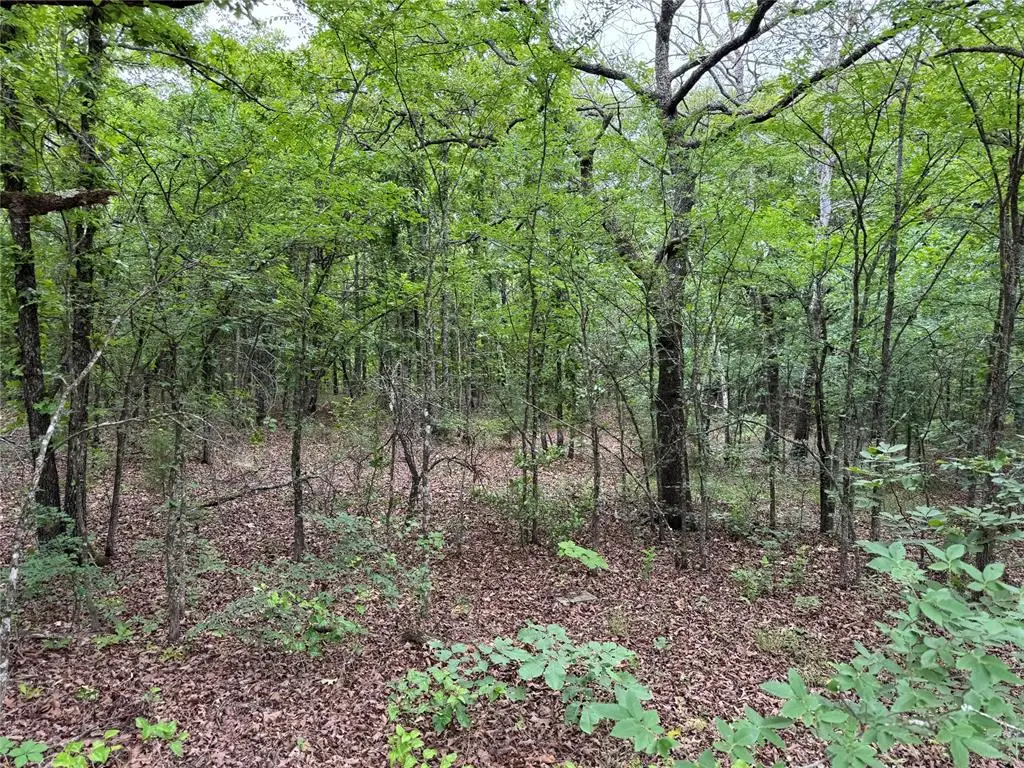365 Road, Wewoka, OK 74884 - #1